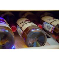 Купить отдельностоящий винный шкаф Cold Vine C126-KSF2