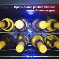 Купить отдельностоящий винный шкаф Cold Vine C8-TBF1