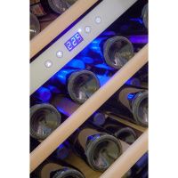Купить отдельностоящий винный шкаф Cold Vine C126-KSF2